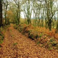 Camino de Santiago, un viaje para soltar amarras