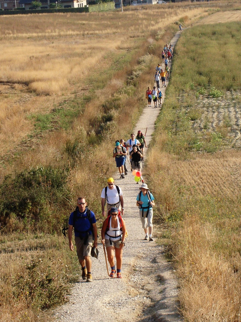 Democratización del Camino